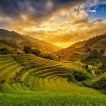 ベトナムは日本からの移住先として向いているか?税金に注目して検討してみた